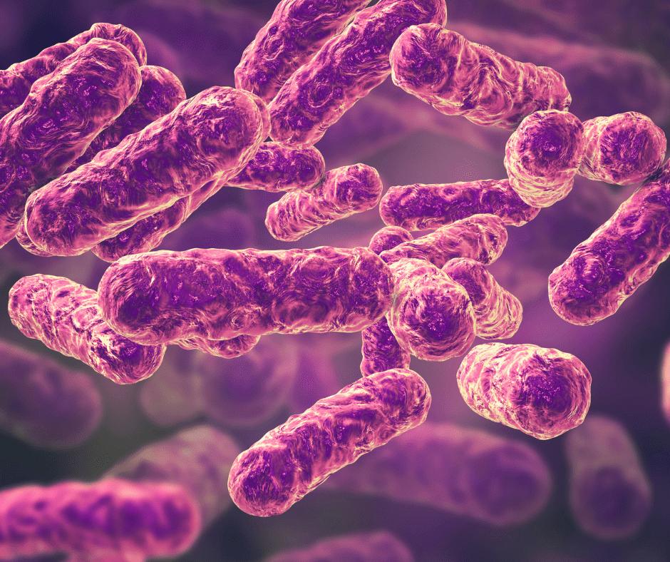Foto van bartonella bacterie