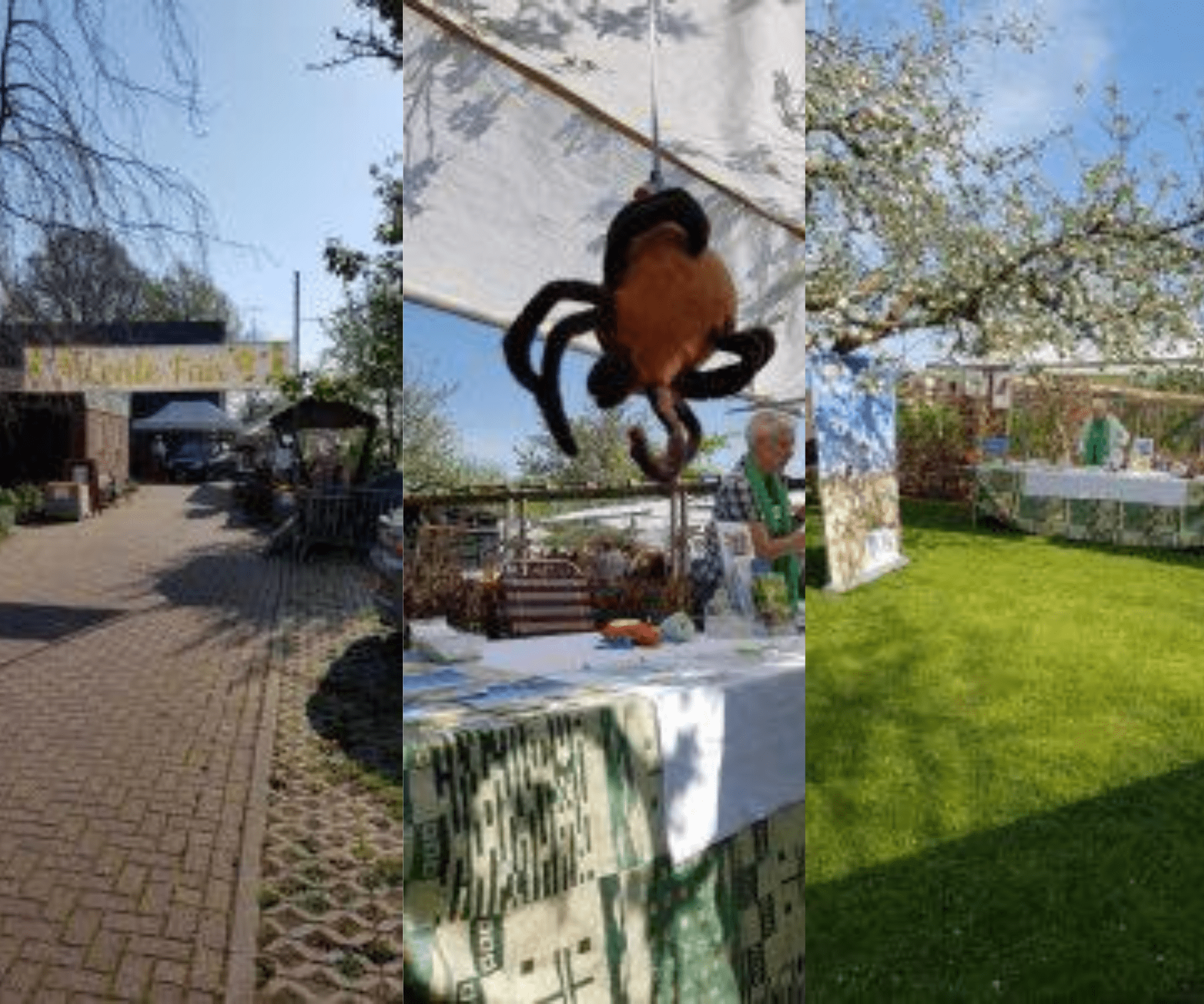 Voorlichting Lentefair Kreijenborg